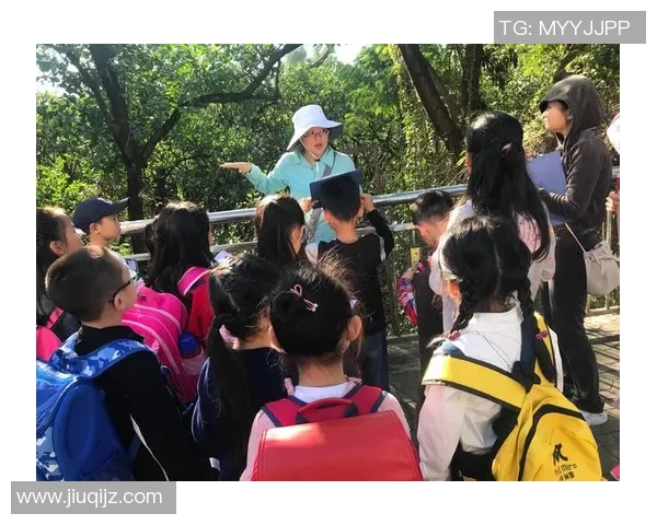 实时新闻深圳极限运动队转型之路探秘与未来发展趋势分析